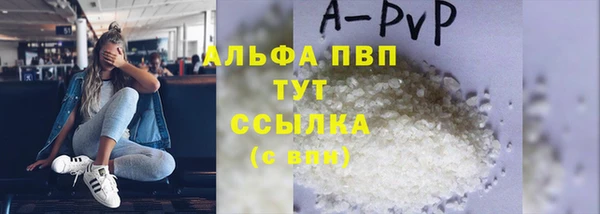 гашик Новокубанск