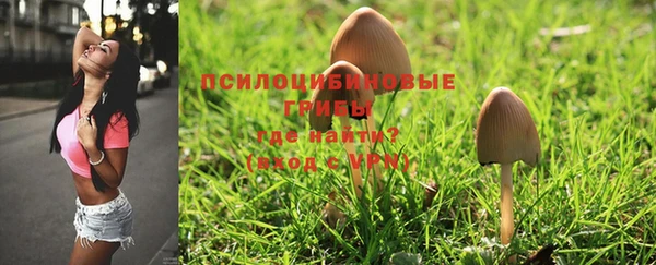 экстази Новодвинск