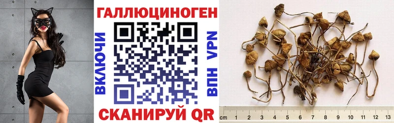 Псилоцибиновые грибы MAGIC MUSHROOMS Нелидово