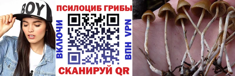 ОМГ ОМГ сайт  Нелидово  Галлюциногенные грибы Magic Shrooms 