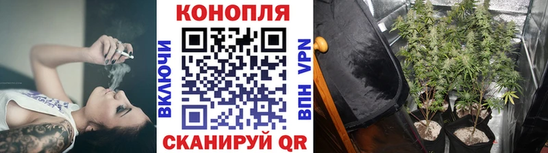 Шишки марихуана марихуана Нелидово